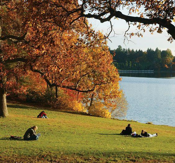 /posts